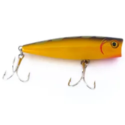 Bass Pro Shops XTS