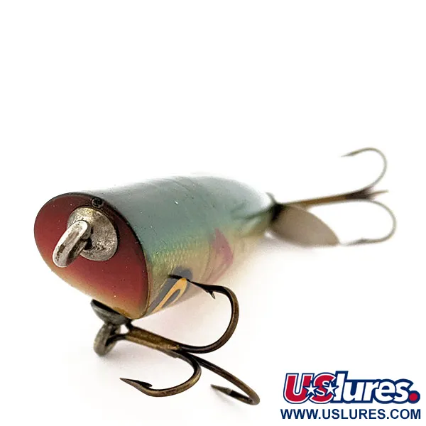 Barracuda Dalton Special