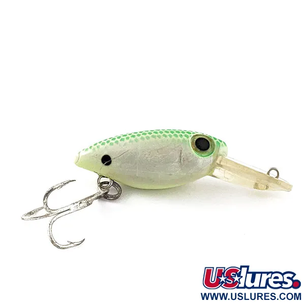 The Producers Minnow Shad Area