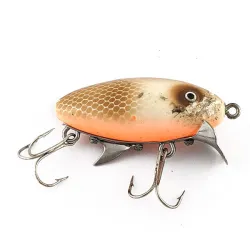 Clarks Water Scout Holz