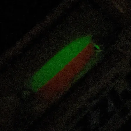 Andy Reekers Grizzly