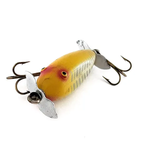 Creek Chub Injured Minnow