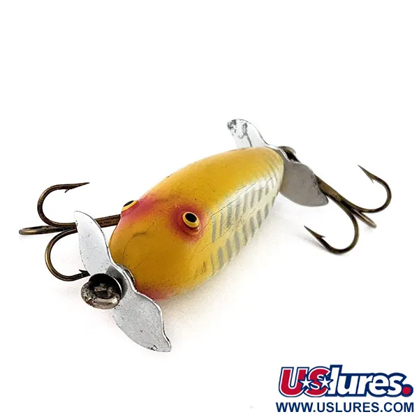 Creek Chub Injured Minnow