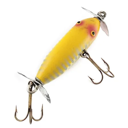 Creek Chub Injured Minnow