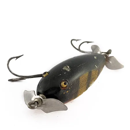 Creek Chub Injured Minnow Glassaugen