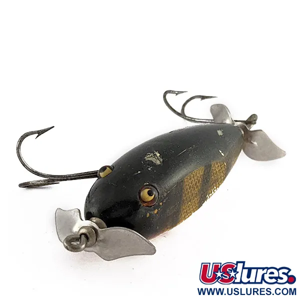 Creek Chub Injured Minnow Glassaugen