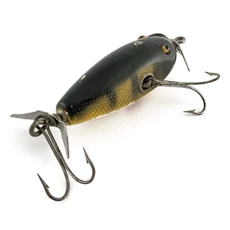 Creek Chub Injured Minnow Glassaugen