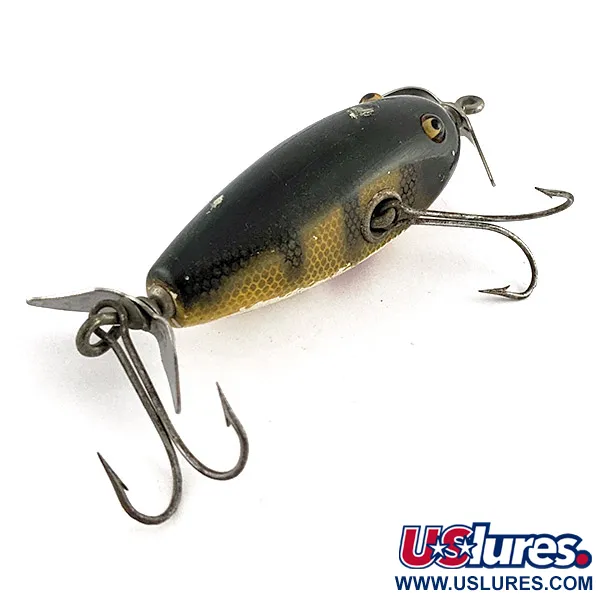 Creek Chub Injured Minnow Glassaugen