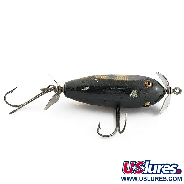 Creek Chub Injured Minnow Glassaugen