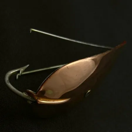 Master Weedless Wiggler Augues Bait