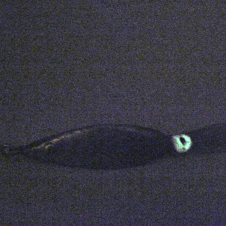 Weedless Fred Arbogast 3 Hawaiian Glow Spoon, 16g, Krautschutz, #3338