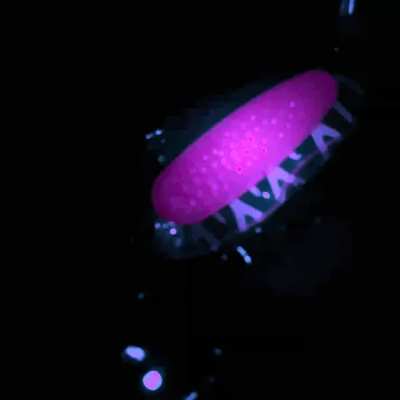 Blue Fox Pixee UV Blinker, Nickel/Pink, 14g, UV-Beschichtung, #4558