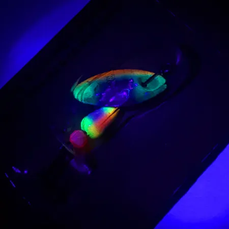 Panther Martin 2 Spinner, Regenbogenforelle, 2.5g, FishSeeUV, #4602