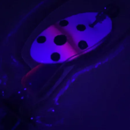 Panther Martin 2 UV Spinner, Forelle, 2,5g, UV-Finish, #4603