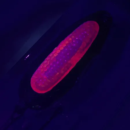 Blue Fox Rattlin Pixee UV Blinker, Gold / Rot, 14g, Rassel, #4749