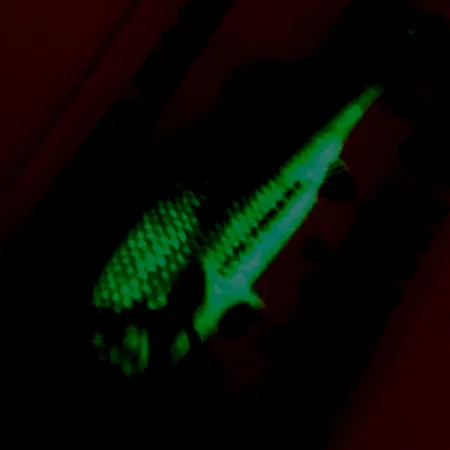 Northland Live Forage Glow Blinker, Regenbogenfisch, 7g, Messing, #5140