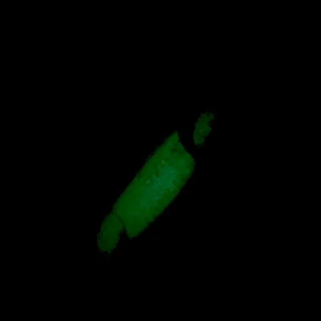 Luhr Jensen Crippled Herring Blinker, Weiß/Grün UV Glow, 21g, #5921