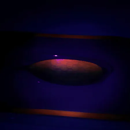 Weedless Johnson Silver Minnow Krautblinker, Grün/Orange/Nickel, #6193