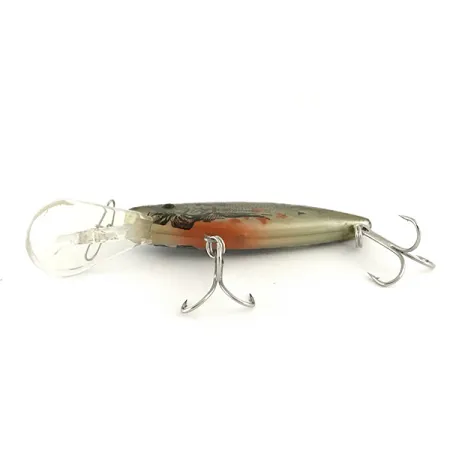 Bill Lewis Divin' Mag Trap Rat-L-Trap Floater, Natur, 11g, Tiefläufer, #6569