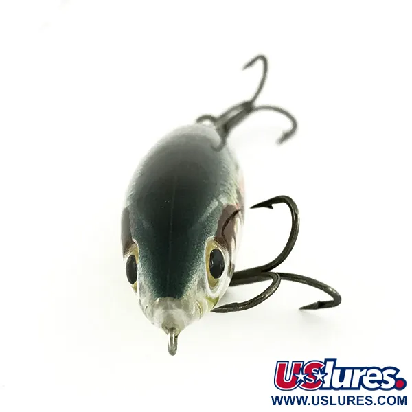 Rapala Skitter Walk Stickbait, Mullet, 12g, Weitwurf-Heck, #7005