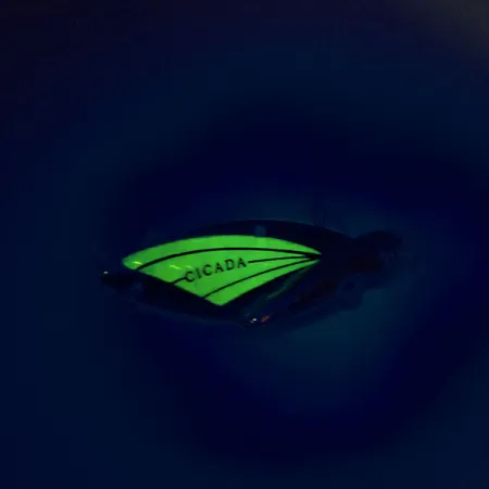 Reef Runner Cicada Blade Bait, Nickel / Grün, 14g, Glow-Effekt, #9560