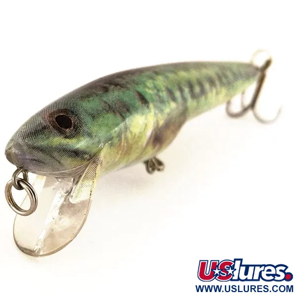 Berkley Frenzy FWD4S Wobbler, Baby Bass, 14g, schwimmend, #9597