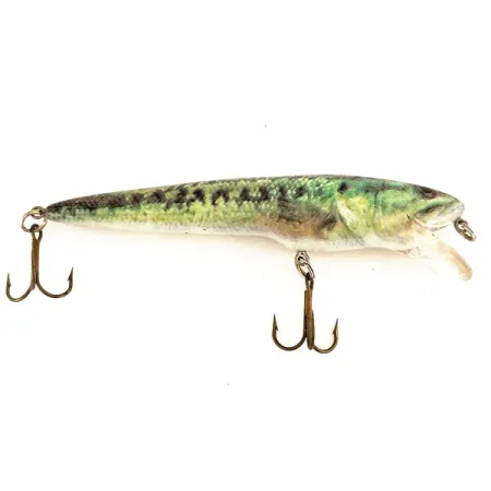 Berkley Frenzy FWD4S